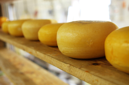 Käse - typisch niederländisch, oder?